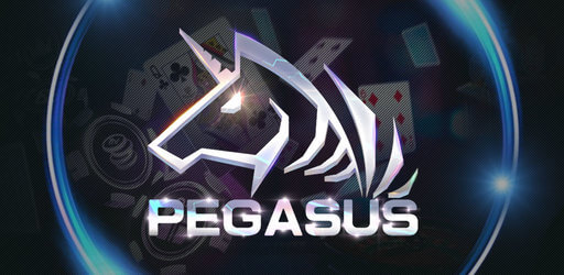 banner pegasus